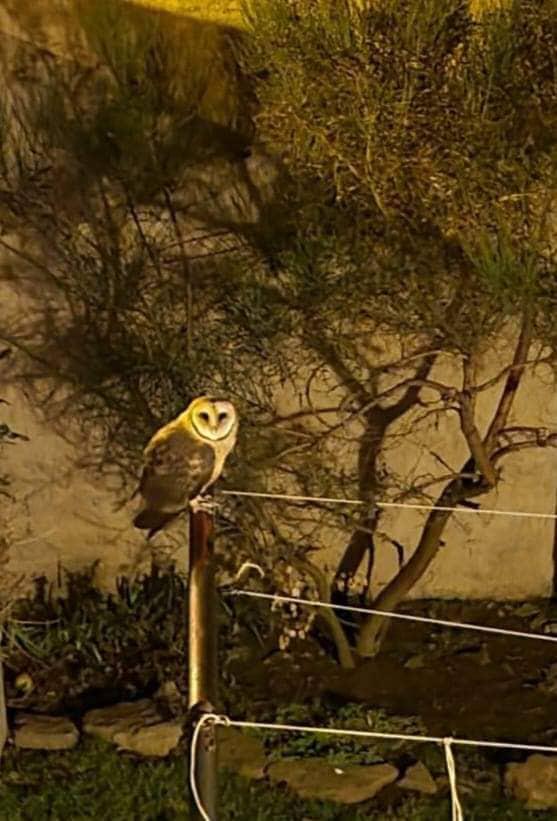 297552471_383218790605888_3182880802311105917_n