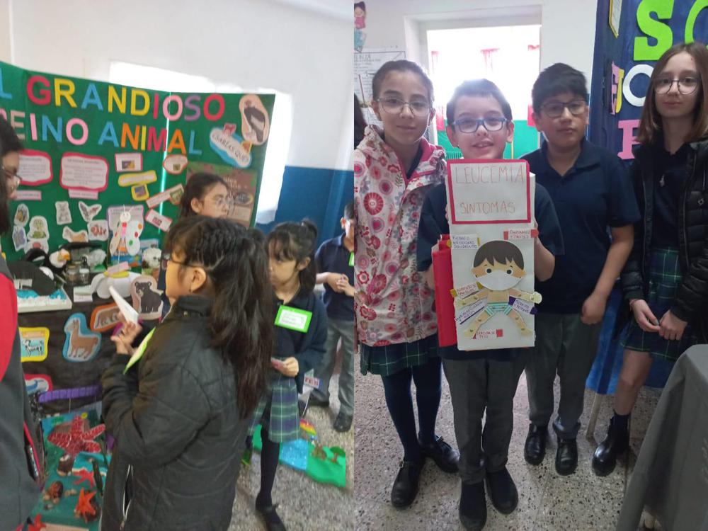 WhatsApp Image 2022-09-27 at 15.21.31