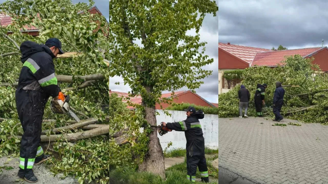 WhatsApp Image 2025-11-18 at 19.45.26