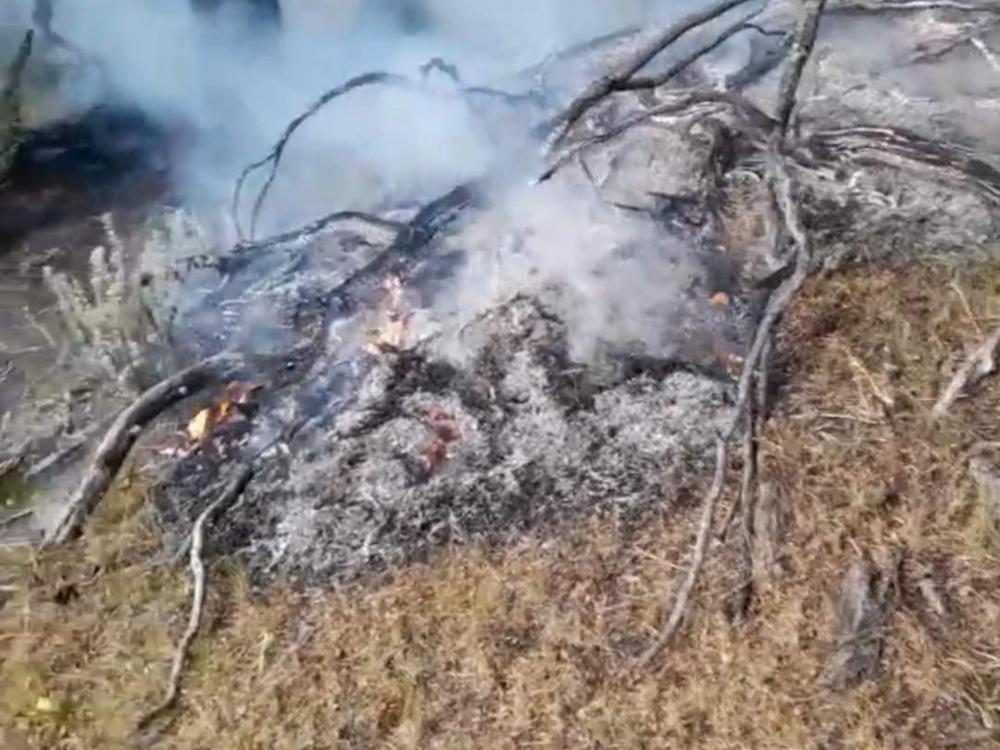 InShot_20220324_155319529