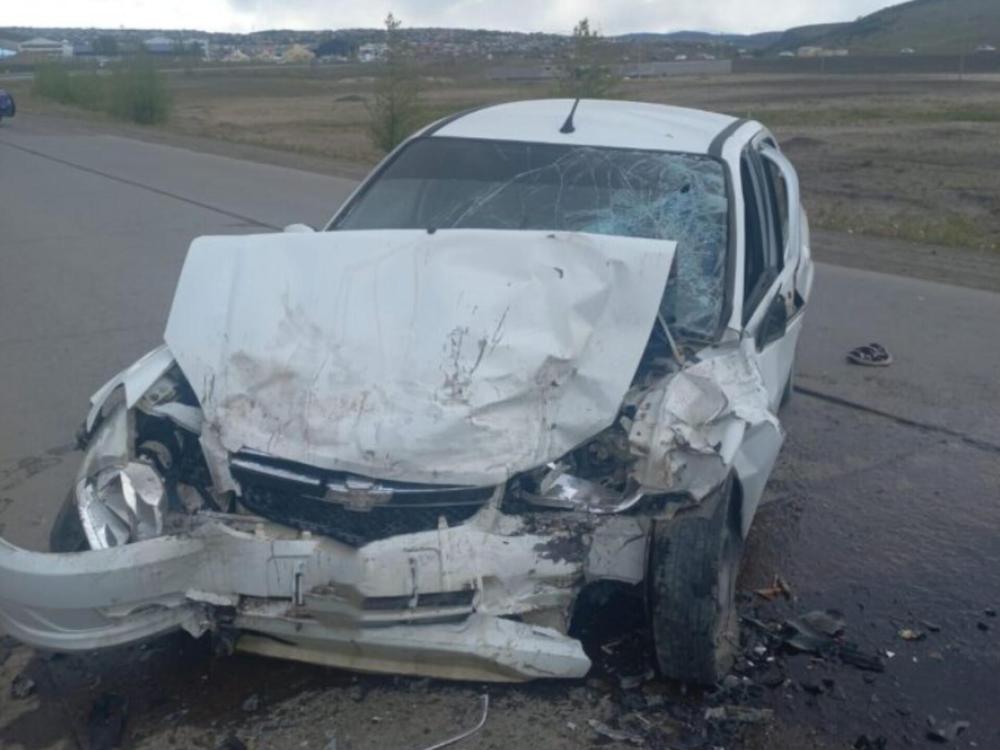 InShot_20231122_000202087