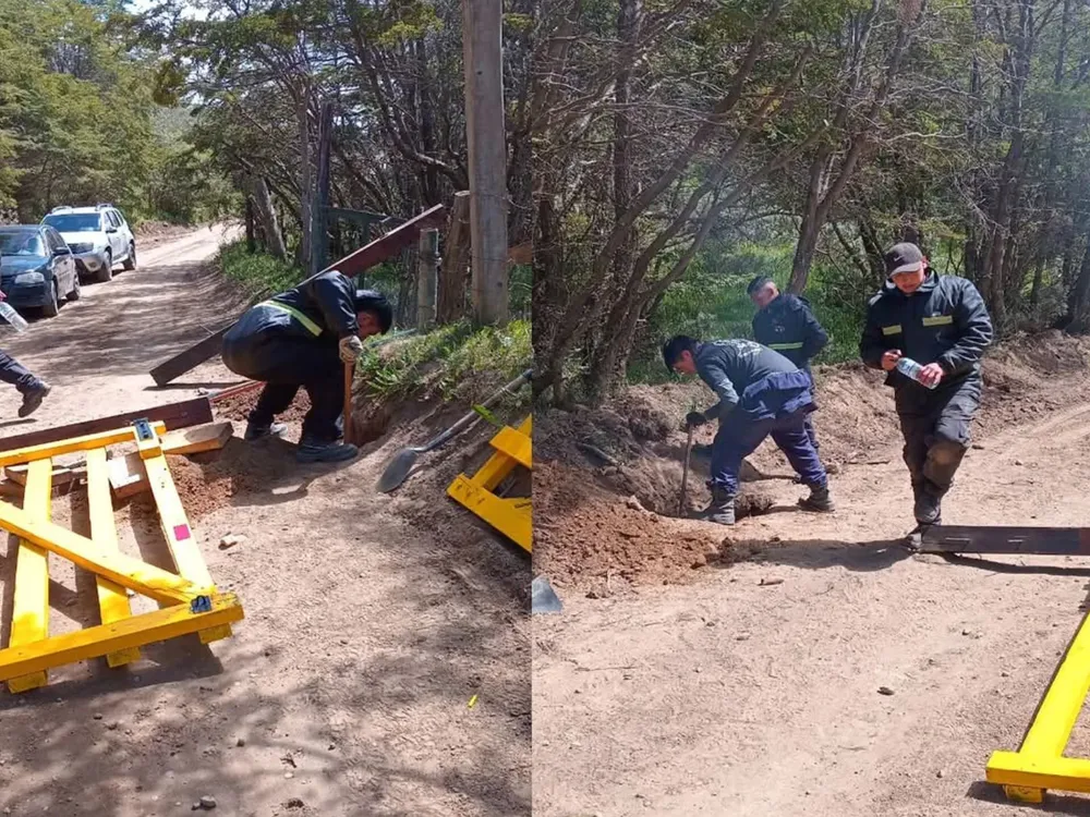 InShot_20241220_164858898