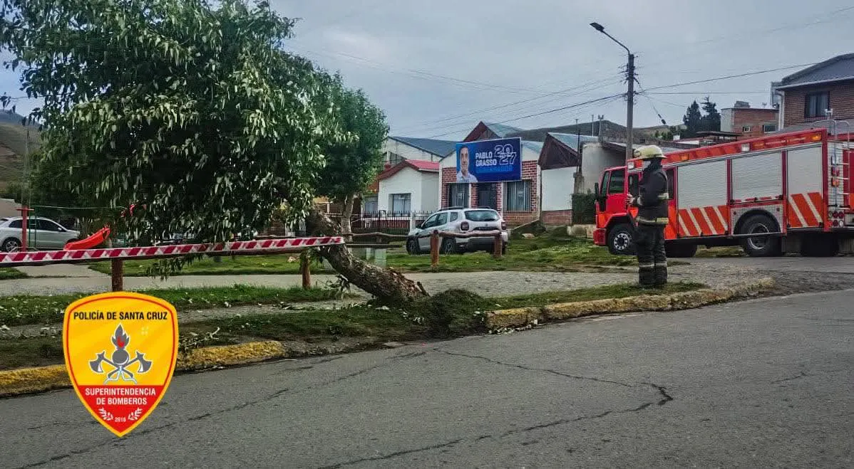 FB_IMG_1767061107544