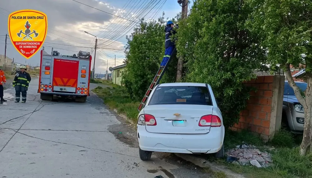 FB_IMG_1766693950236