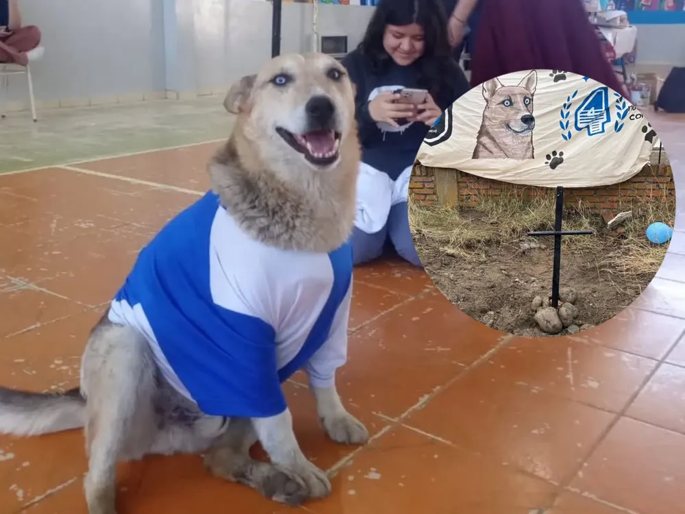 WhatsApp Image 2025-09-29 at 13.40.30