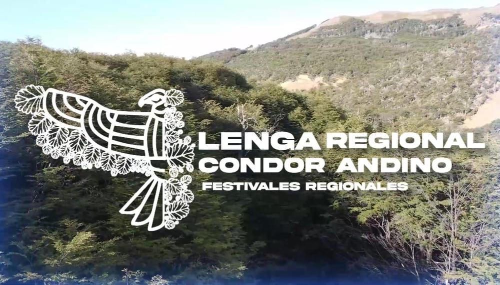 WhatsApp Image 2024-03-06 at 13.55.23