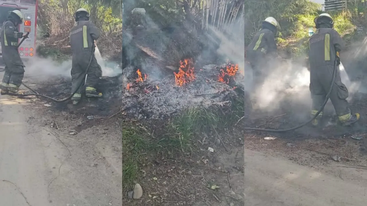 WhatsApp Image 2025-11-05 at 16.03.24