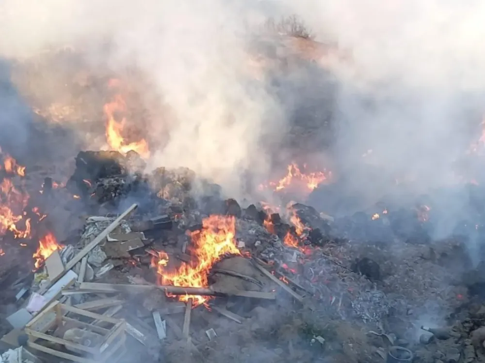 InShot_20260120_171401042