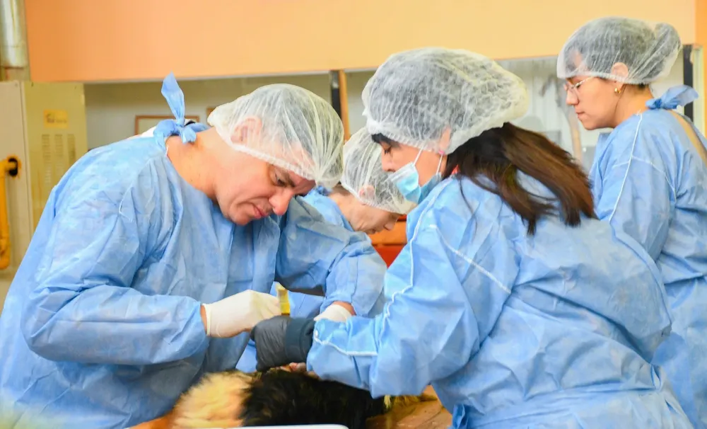 536276788_1115921223975580_3393118715687902869_n