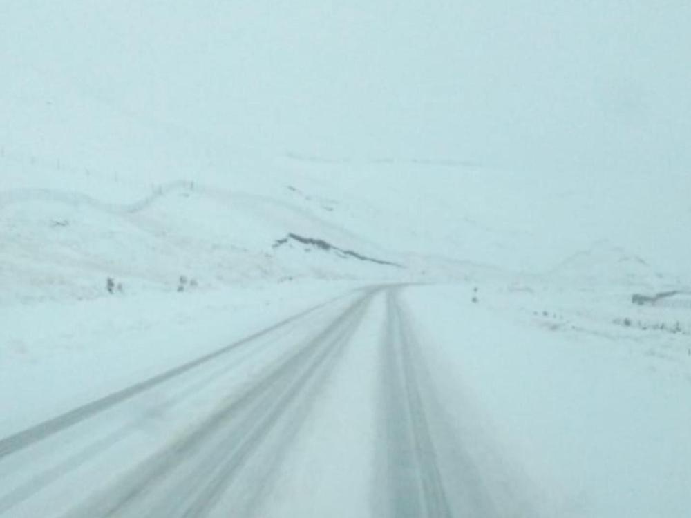 WhatsApp Image 2024-05-09 at 14.53.18