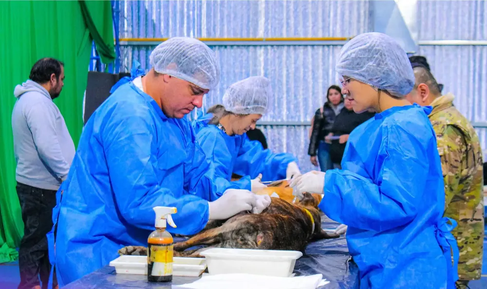 FB_IMG_1756924205800