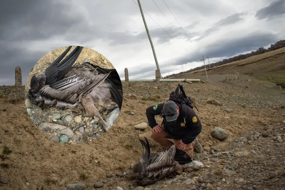 InShot_20251017_232032978