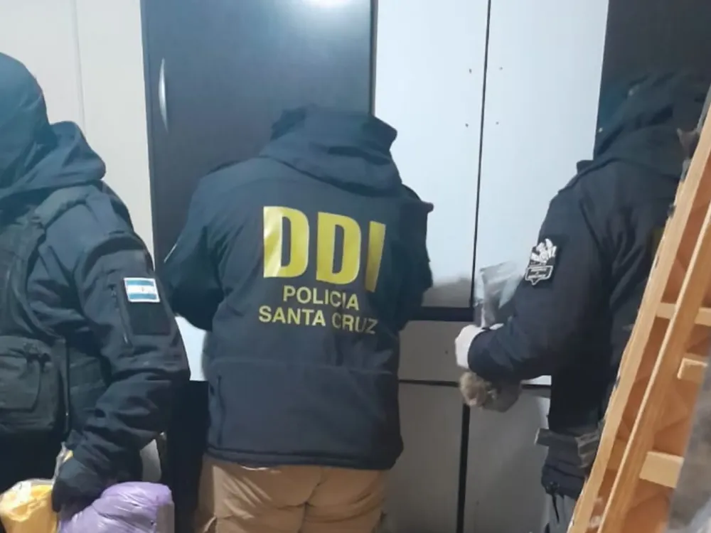 InShot_20250711_103009414