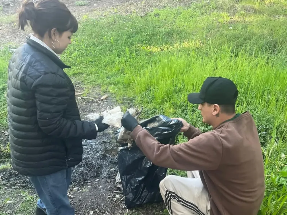 InShot_20241230_145450243