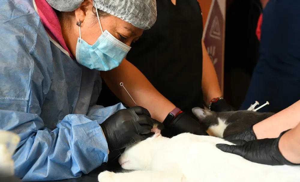 589723911_1183329720568063_9202138413398355766_n