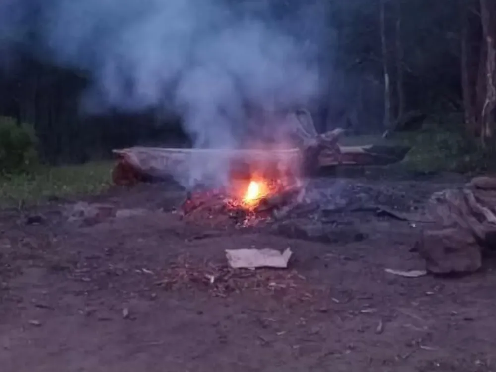 InShot_20251219_102016146