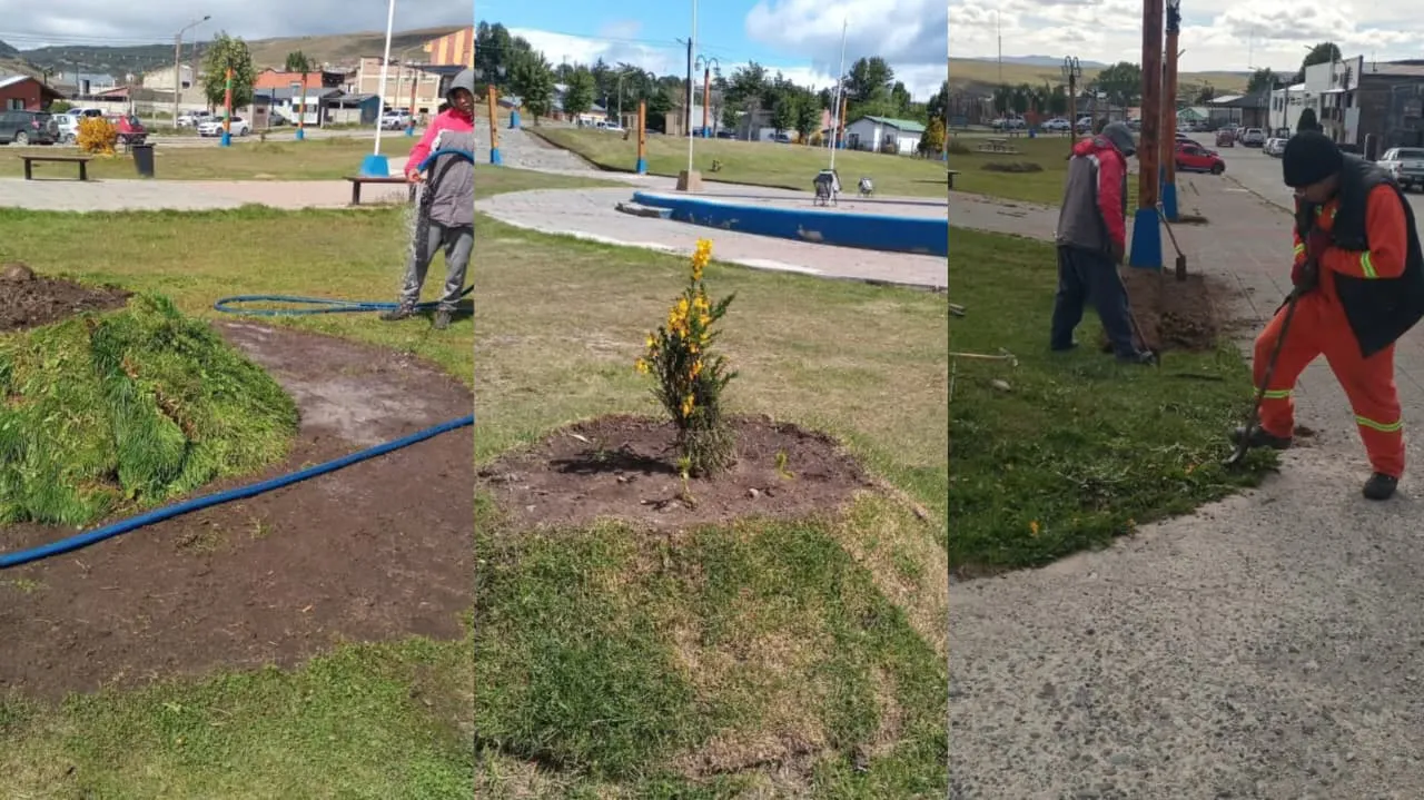 WhatsApp Image 2025-12-18 at 16.15.22