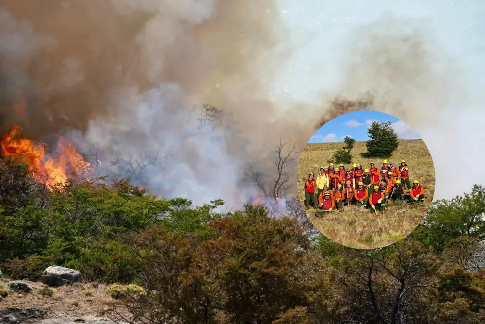 InShot_20260110_235652378