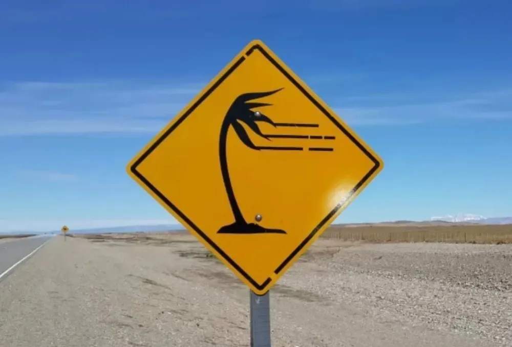 InShot_20241021_123103480