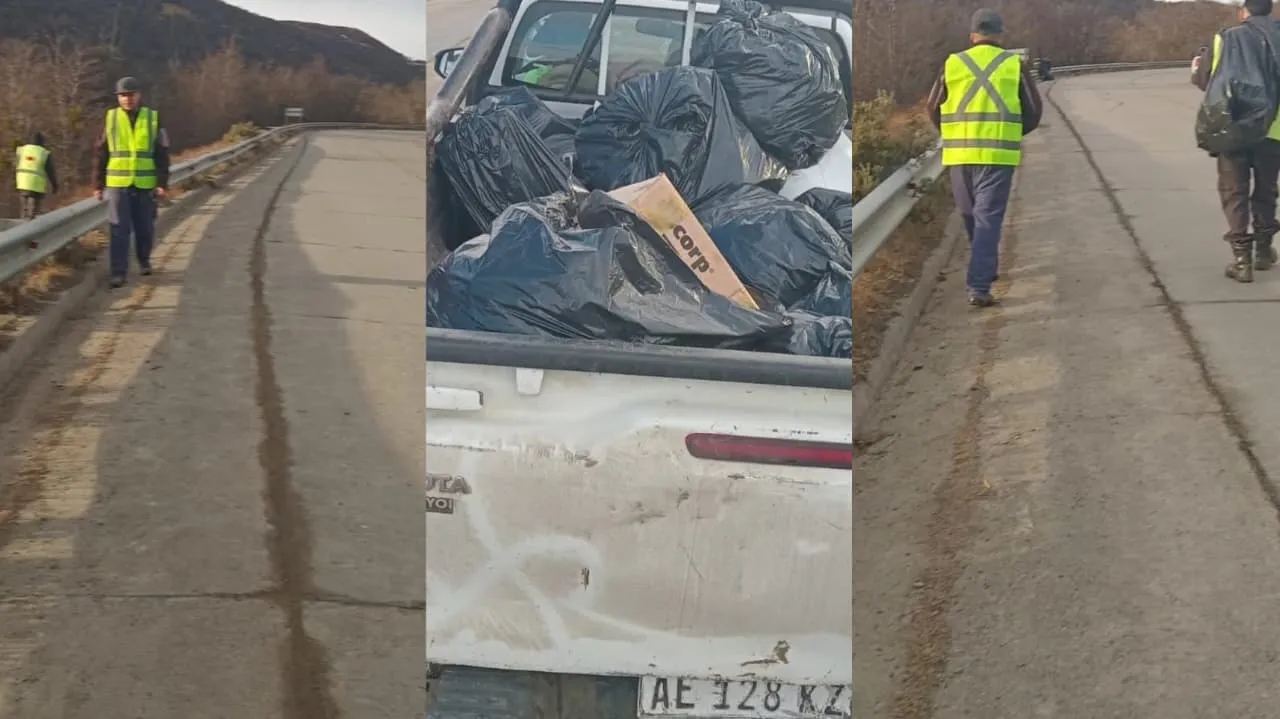 WhatsApp Image 2025-08-22 at 15.28.29