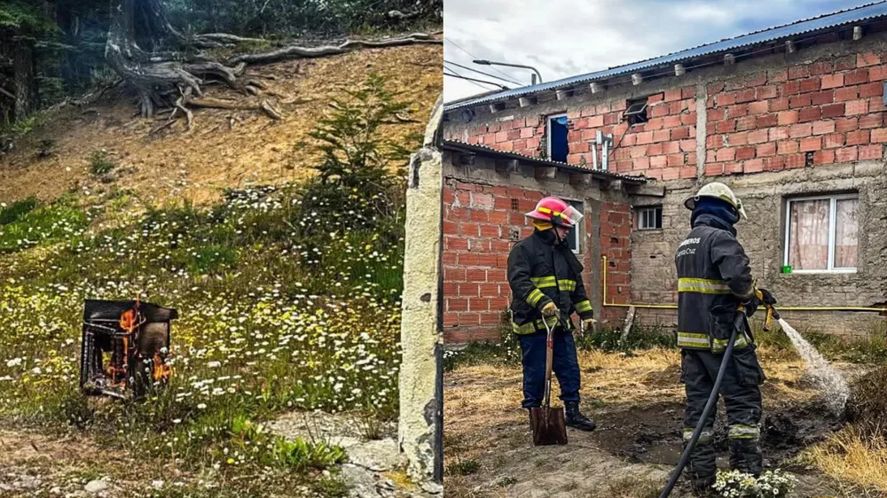 InShot_20260110_212018619