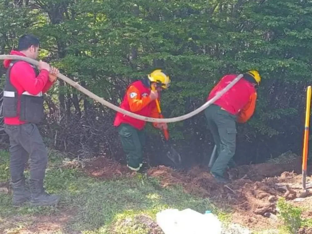 WhatsApp Image 2024-11-22 at 15.29.29