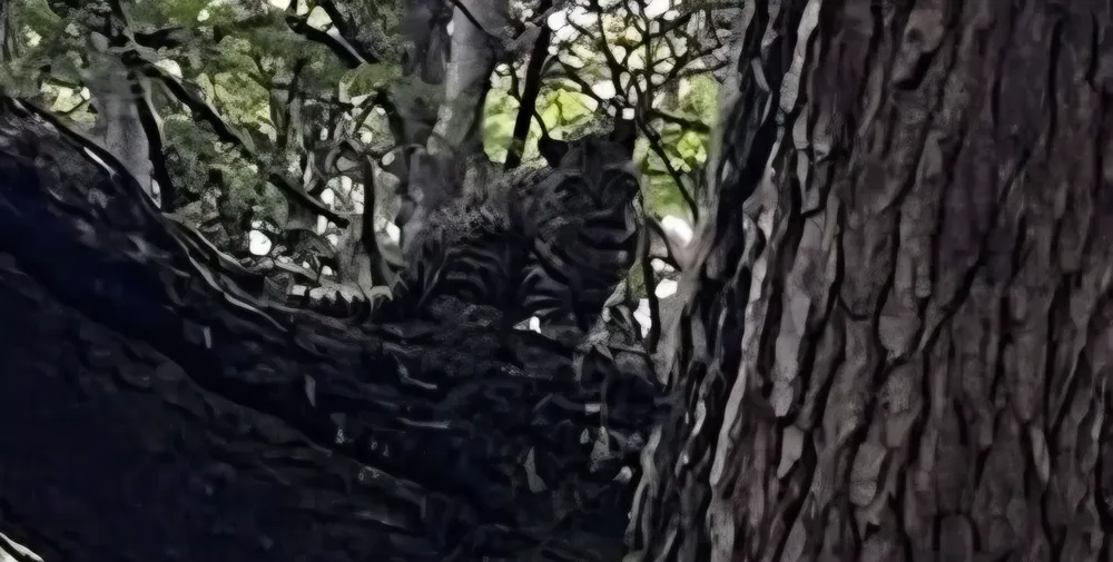 FB_IMG_1772032569709