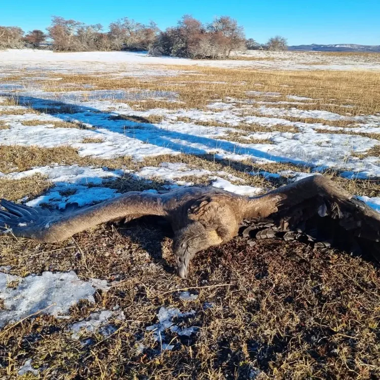 532047654_17994324641818788_4386044599941865916_n