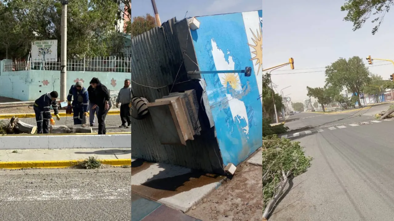 WhatsApp Image 2025-11-18 at 15.55.52