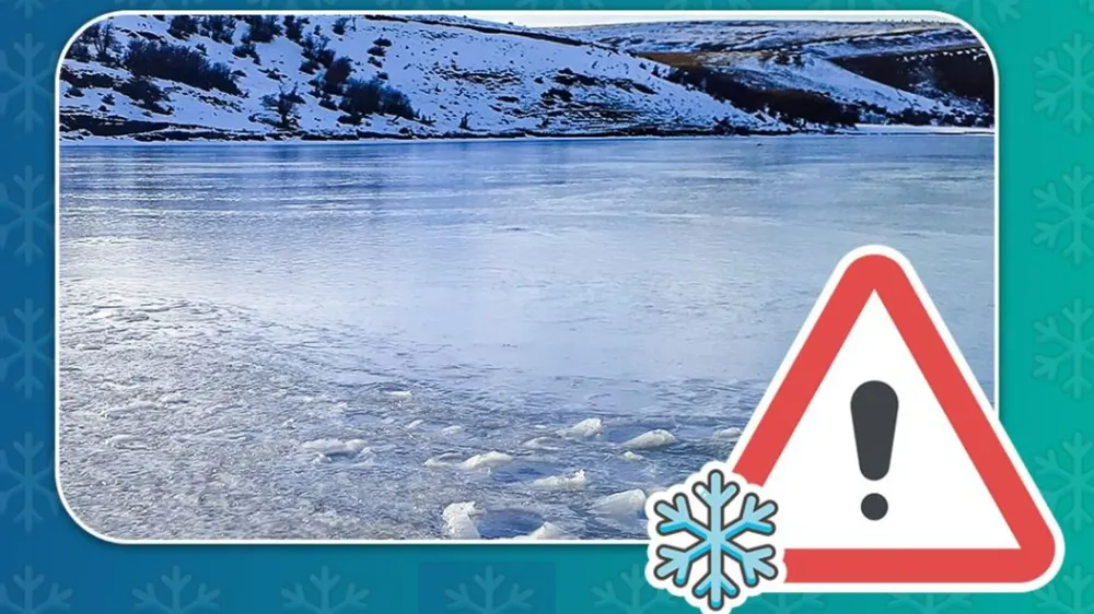 WhatsApp Image 2025-07-29 at 15.49.58