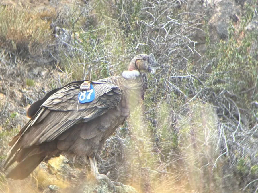 a39e5f1b8e20dd9059fbd8589a3860c0_XL