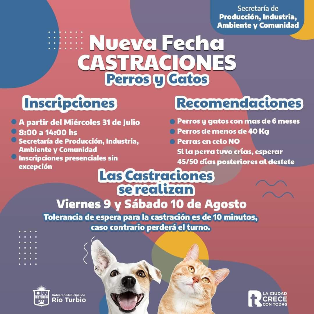 WhatsApp Image 2024-07-30 at 16.24.25