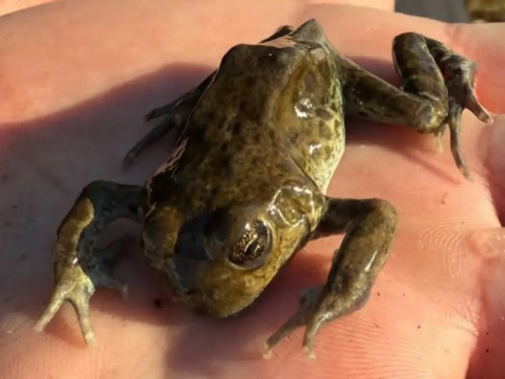 InShot_20250807_182634421