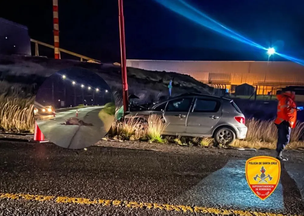 InShot_20260324_105545856