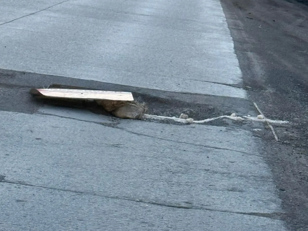 WhatsApp Image 2025-10-05 at 23.18.10