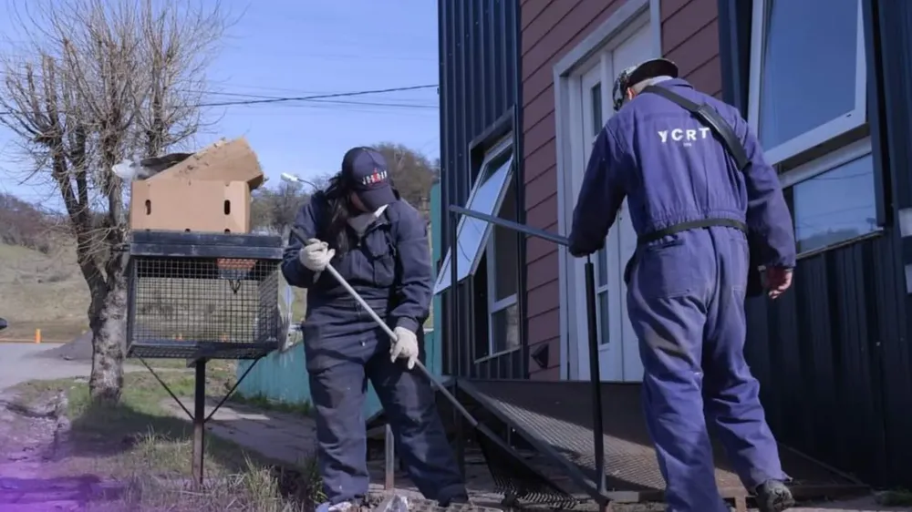 WhatsApp Image 2024-10-08 at 15.52.11