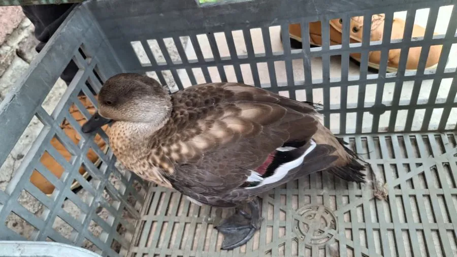 7606d5c6ab13683a1e0625d8236f0738_XL