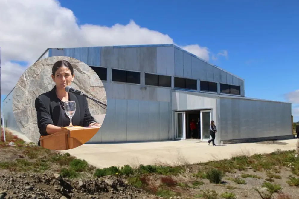 WhatsApp Image 2025-11-28 at 15.46.09