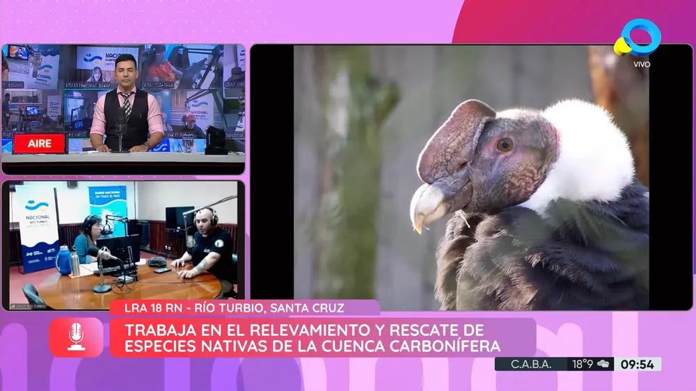 Captura de pantalla 2025-12-01 143111