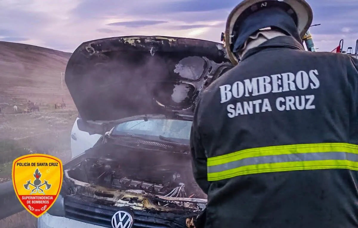 FB_IMG_1768748268605