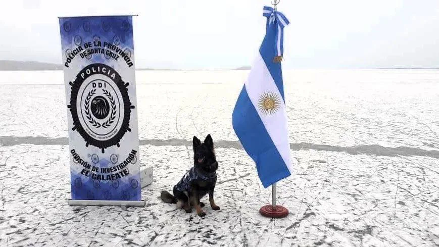 648776915_1226336556281267_4781607918146473660_n