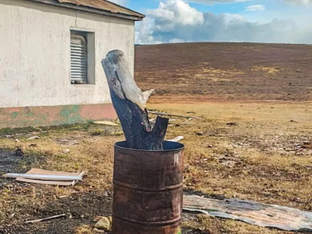 InShot_20260304_190530802