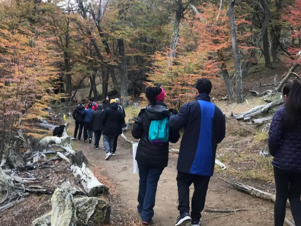 WhatsApp Image 2024-12-11 at 15.35.50